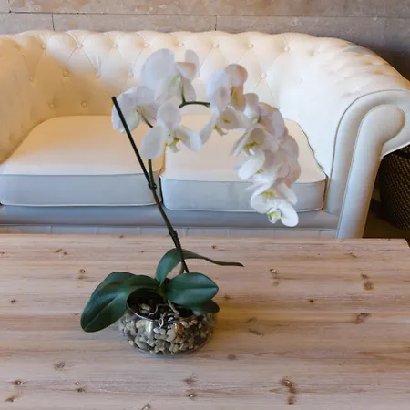 فندق Cruz De La Victoria El Berron