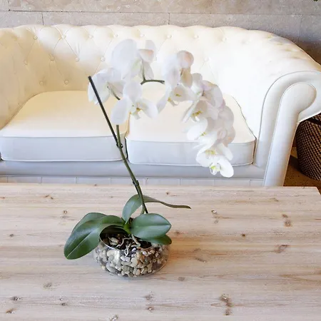 فندق Cruz De La Victoria